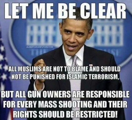 7bfc193905c0a630a5f64baf5b6b64c0--liberal-logic-nd-amendment.jpg