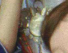 3736edfbfe3f13d0fc56eab8f22a891283b5dfff3c75288aaccf72496d8c94e5.png