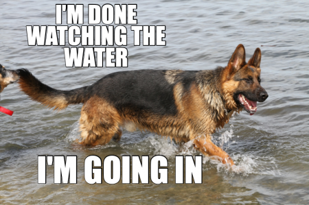 D9iP97UWwAg4-kx.png