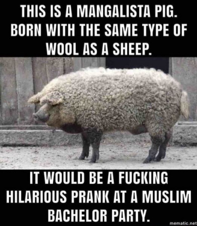 e73b0b441aaf91e3.jpg