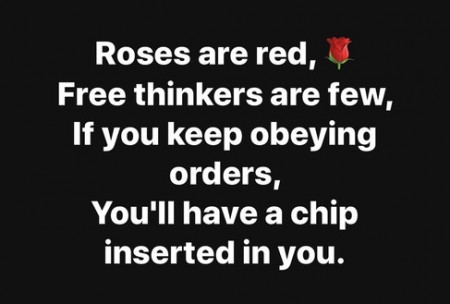 22821ad8d8fae77c.jpg