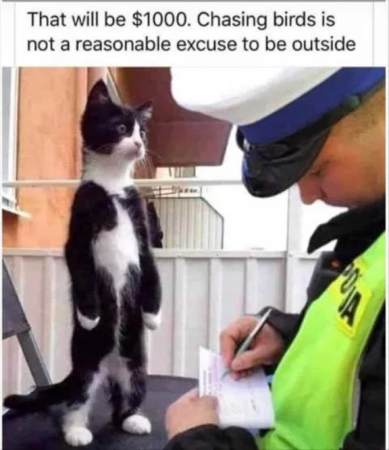 20e33b1390e6265b.png