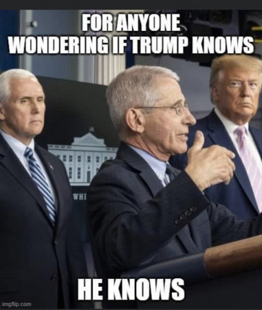 DTknows.jpg