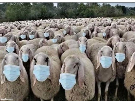 baaa.jpg