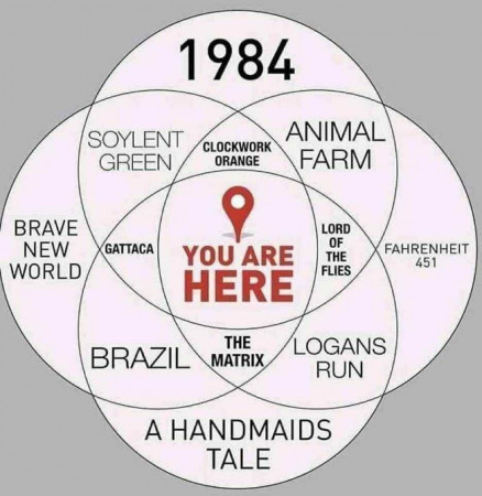ab461e6516c93d37.jpeg
