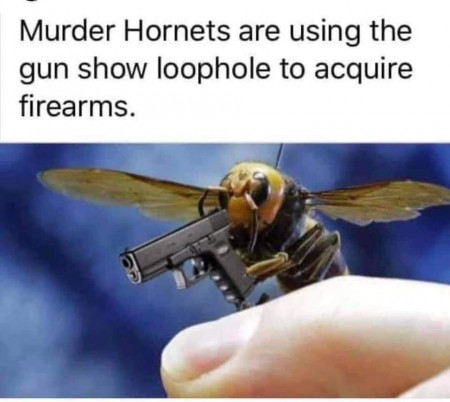 0d6f728c18e0ea61.jpg