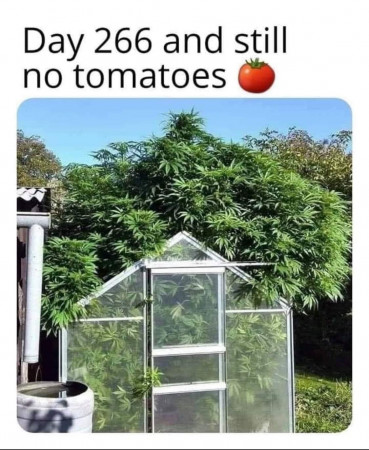 503409aa72b6143f.jpeg