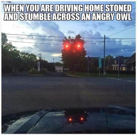 3855879b34cc66b6.jpeg