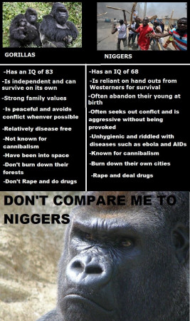 f9c4faf821a46a1c.jpeg