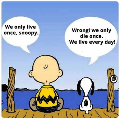 0569a56a399a1acf.png