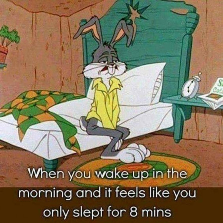 b7b70a6fa325a6ed.jpg