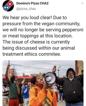 42eb54b6461218bb.jpeg
