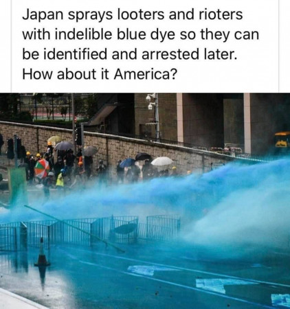 751e43325509ffa2.jpg