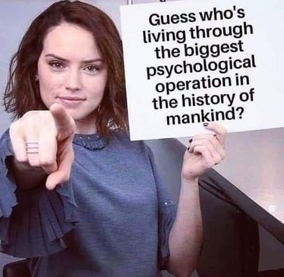 ba6b8b050daff174.jpeg