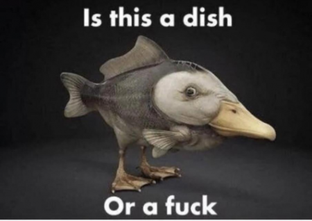 b16b4822dd9bb449.png