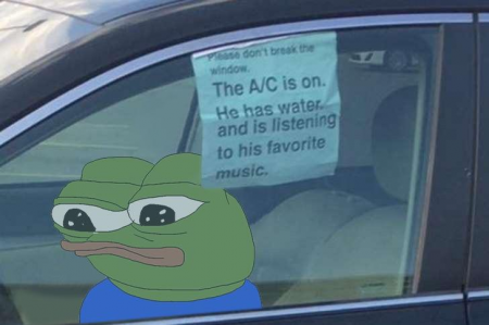 8165a3c039ae6a79.png