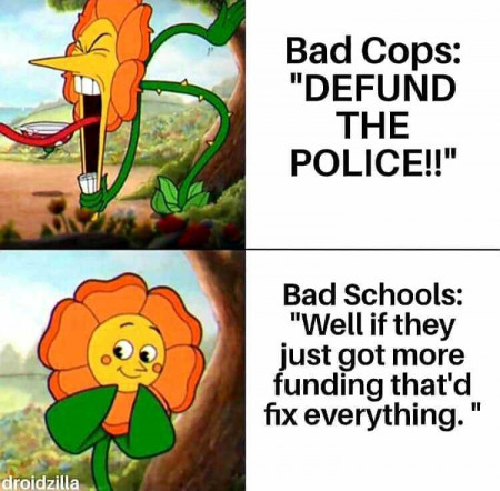 8111fdf0d5f9d00d.jpeg