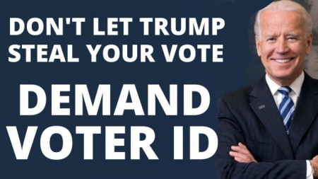 voter id.jpg
