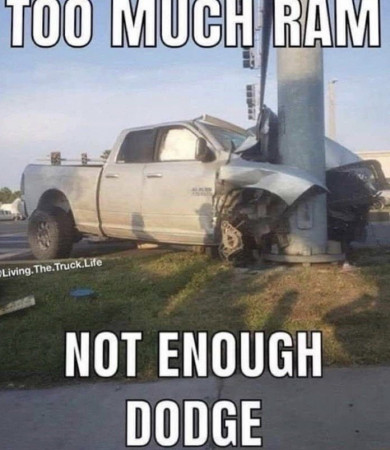 81fa870d42438029.jpeg