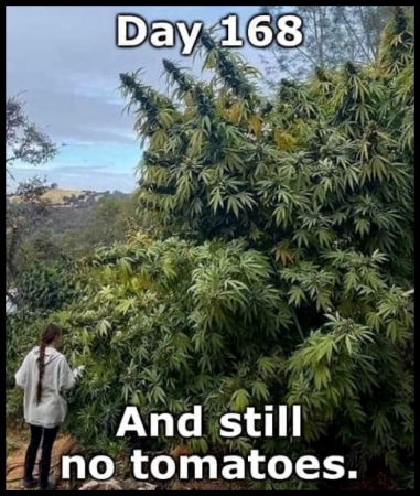 e3833c6e88377c94.png