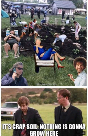 95a72f80aa45e3f5.jpeg