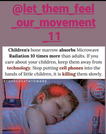47c503170a0a2f2c.jpeg
