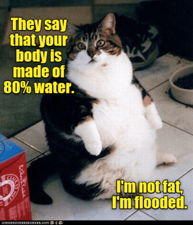 f36b20205739f34b.png
