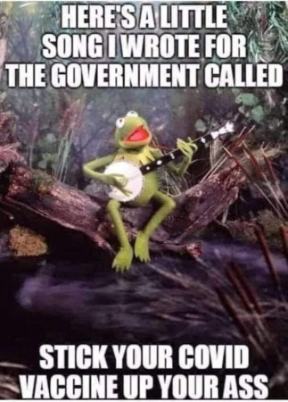 d46e9b9d87d03dc6.jpeg