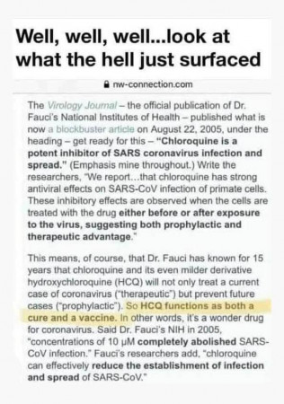 fauci hcq.jpg