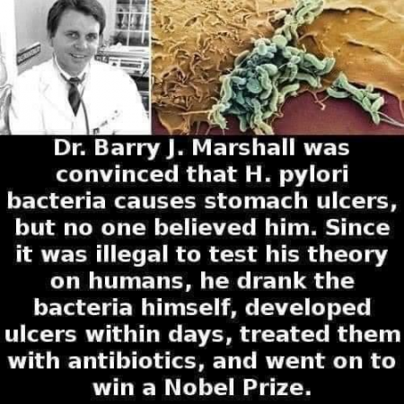 hpylori.png