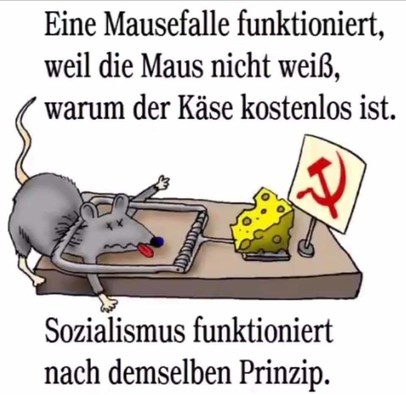 b3858df34a45e9e8.jpg