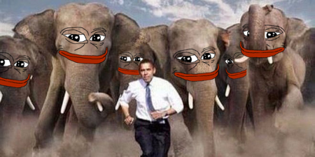 6b84246dc4f193a3.png