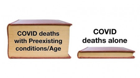 d42964072743b9ac.jpeg