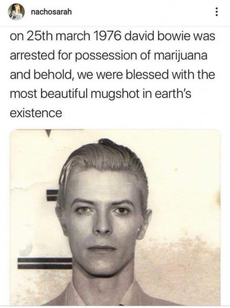 5415960a4efb3a37.jpeg