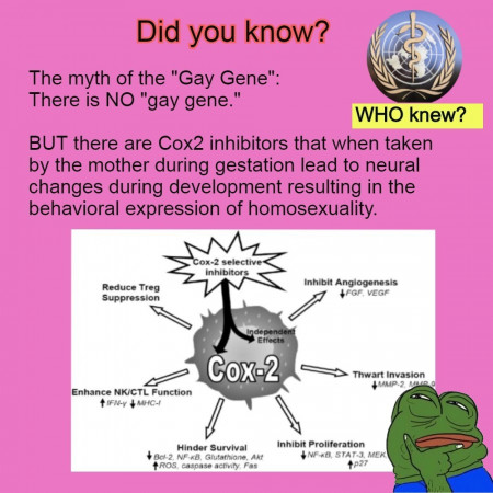 56e36e6bbcea4705.jpg