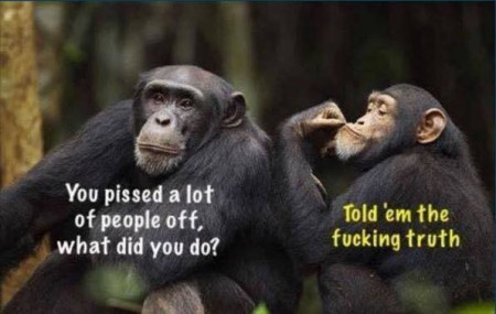 3a3a5245f9e1a33e.jpg