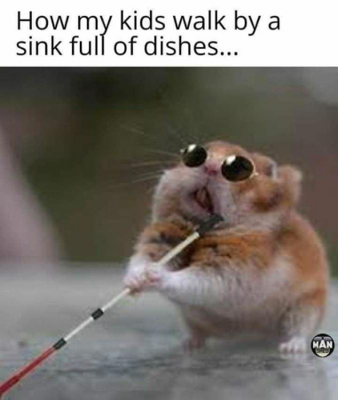 8f831a39d56d15f8.png