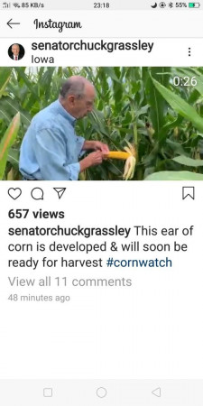 45cb054c3c8d82d3.jpeg