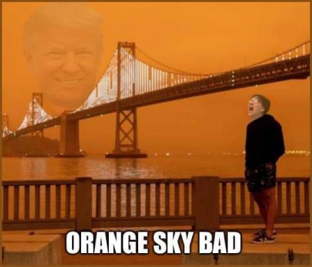 4e7b89f9187c4535.png