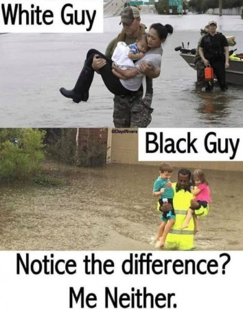 31e95e0db5b16bc3.jpg