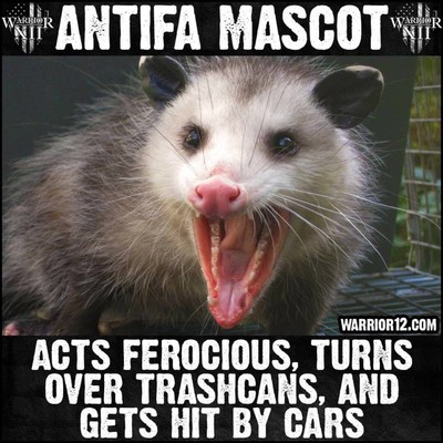 161830fb870a466f.jpeg