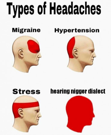 951fcee9c5ead1e0.jpg