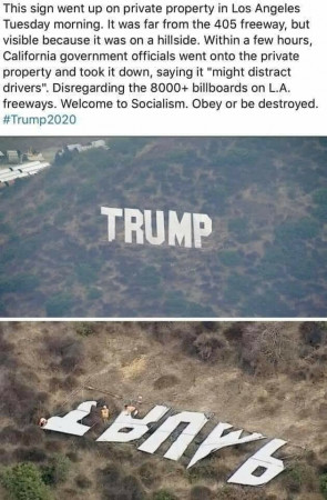 343704cba8c29696.jpeg