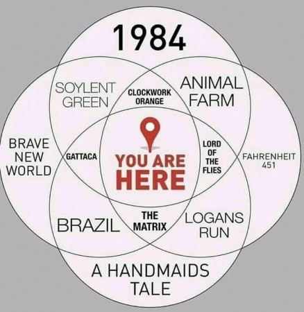 14921dd0a64f1f01.jpeg