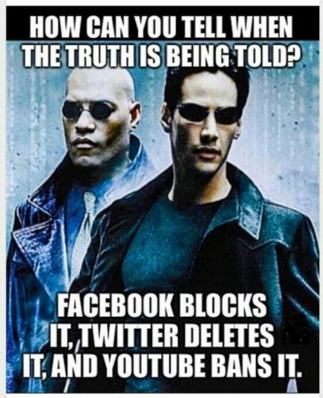 a53b7b2eac8fd740.jpg