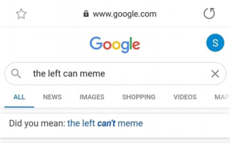 e390571a1c784fc7.png