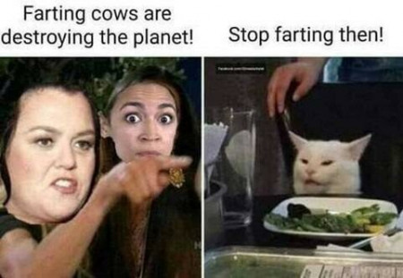 3b5c85db7de2d568.jpg