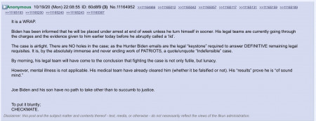 biden wrap.jpeg