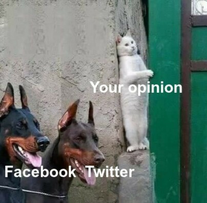 e91218a1e4d67e2e.jpeg