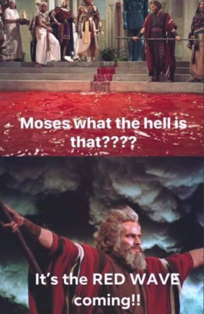 921f37d224f031a2.png